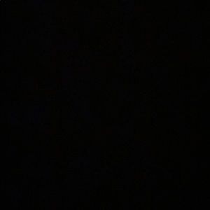 Meet your Posher, Brady